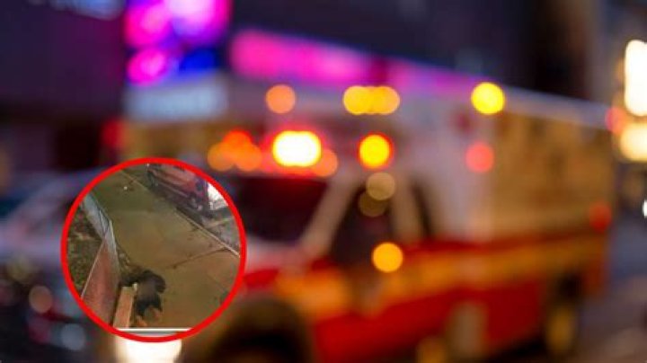 WATCH: New York Authorities Kick Man Suffering Breathing Issues Out of Ambulance, Man Dies Weeks Later
