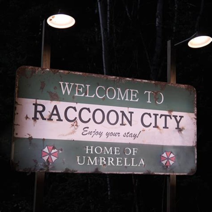 Welcome to Raccoon City' |