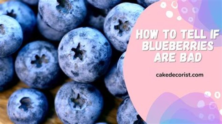 What Does Blueberry Mean On Snapchat Stories? This Game Hints At Your Relationship Status