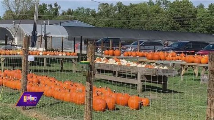 What fall family fun the Corn Crib Nursery has to offer