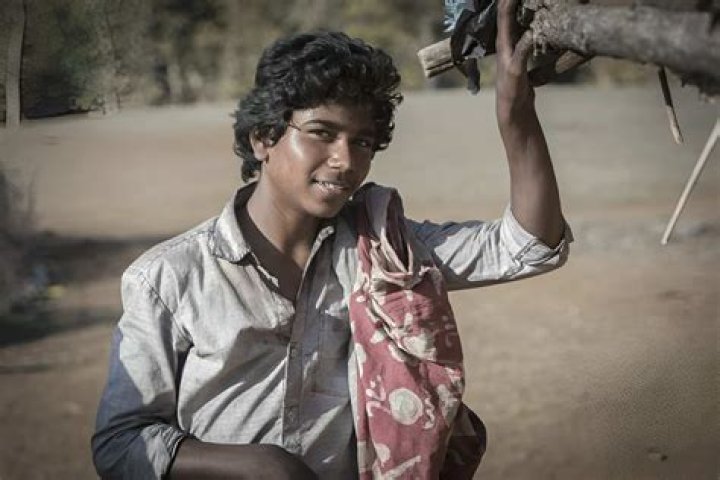What Happened To Guddu in The Lion?
