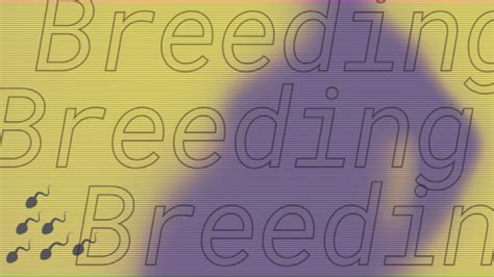 What Is A Breeding Kink & How Can You Explore It? An Expert Explains