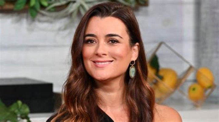 What is Cote de Pablo from NCIS doing now? Kids, Net Worth