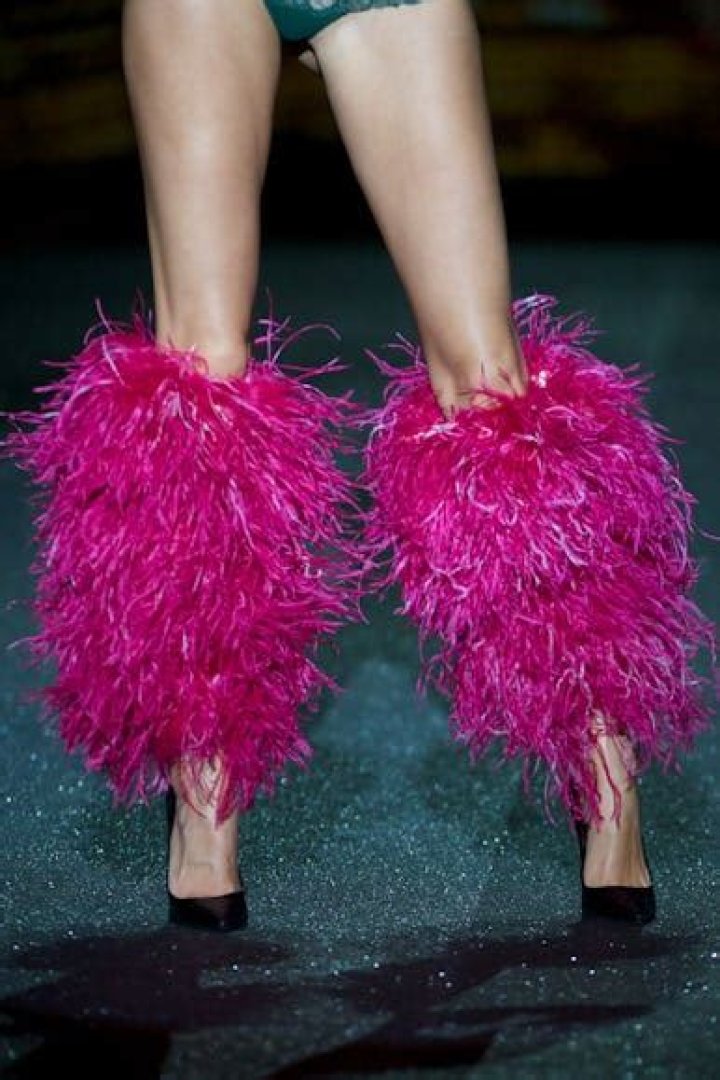 Whatever Happened to Leg Warmers? (Hint: Animals)