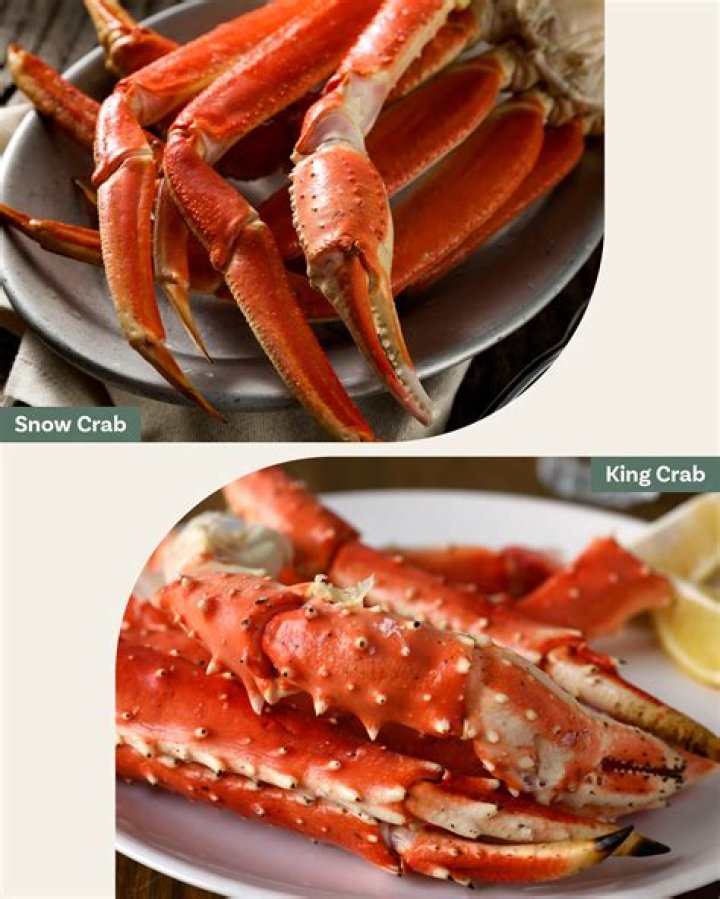 Whats the difference between king crab and southern king crab?