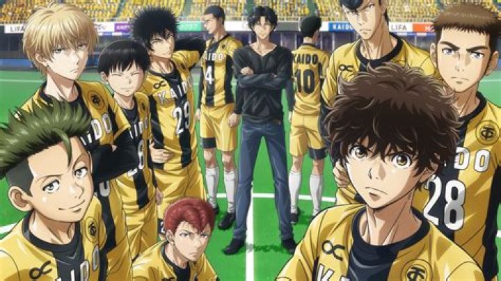 Where Does Ao Ashi Anime End In Manga?