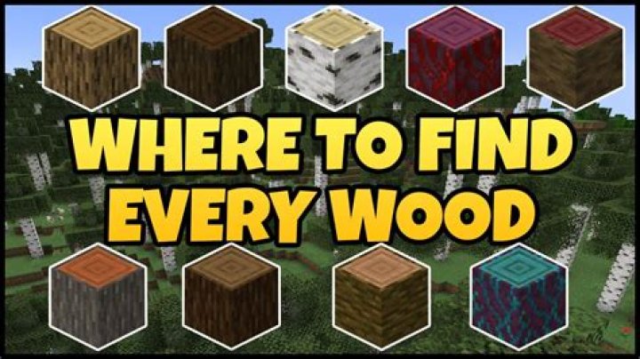 Where to Find Every Type of Wood