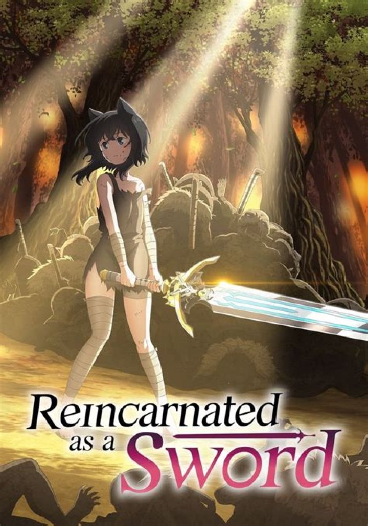Where to Watch Reincarnated as a Sword?