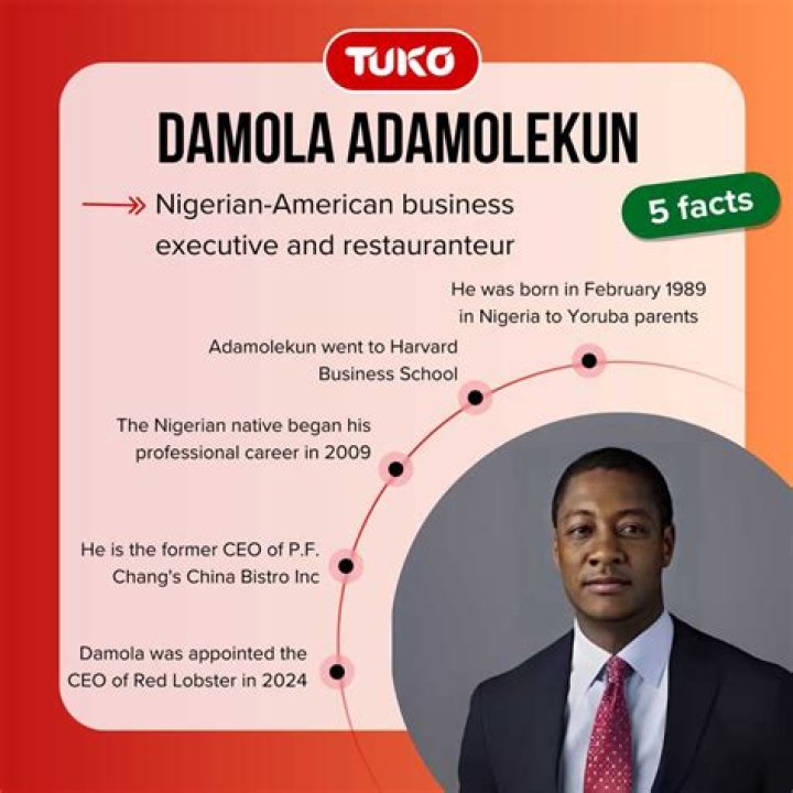 Who Is Damola Adamolekun? Details About the Life And Age Of PF Chang CEO Found On Wikipedia