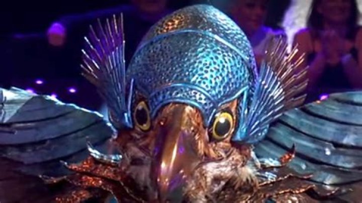 Who is Hawk on The Masked Singer? Clues and guesses for Season 10 celeb