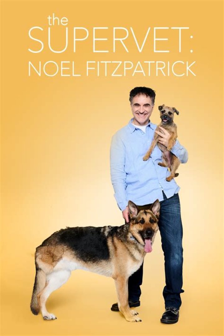Who is Supervet Noel Fitzpatrick and what is his net worth? – The Sun