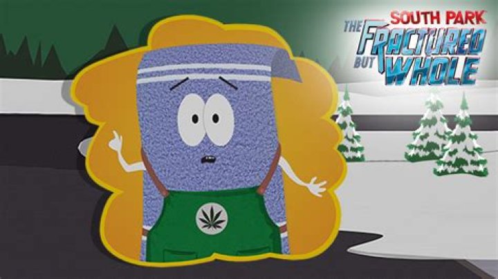 Who Voices Towelie On South Park?