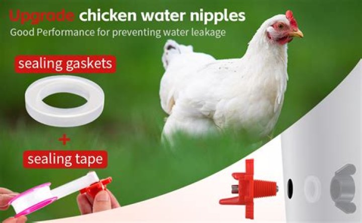 Why are my chicken water nipples leaking?