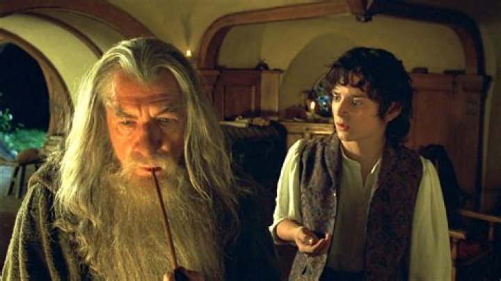 Why Did Frodo Leave Middle Earth in Lord of The Rings?