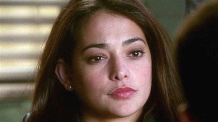 Why Jamie Lovato From CSI: NY Looks So Familiar
