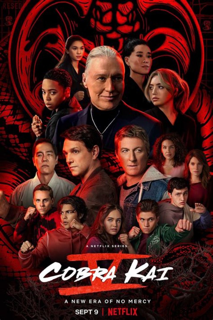Why Netflix's Cobra Kai Is Ending With Season 6, According To The Creators