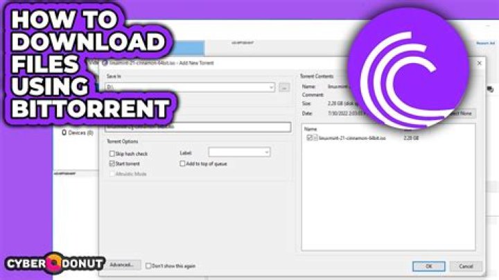 Why You Shouldn't Use BitTorrent Over Tor