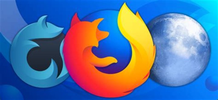 Why You Shouldn't Use Firefox Forks Like Waterfox, Pale Moon, or Basilisk