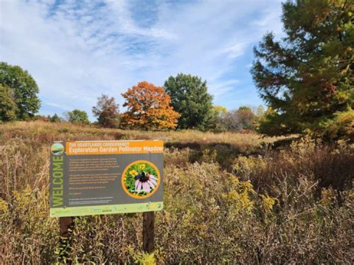 Wilderness Art Project | Clinton County Conservation