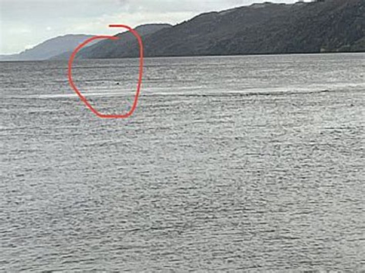 Woman claims she spotted the Loch Ness Monster pop out of the water on live webcam
