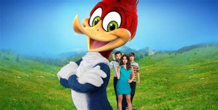 Woody Woodpecker: All Shooting Details of the 2017 Film
