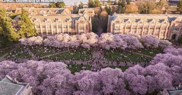 WWU Canvas Login 2024 | Western Washington University