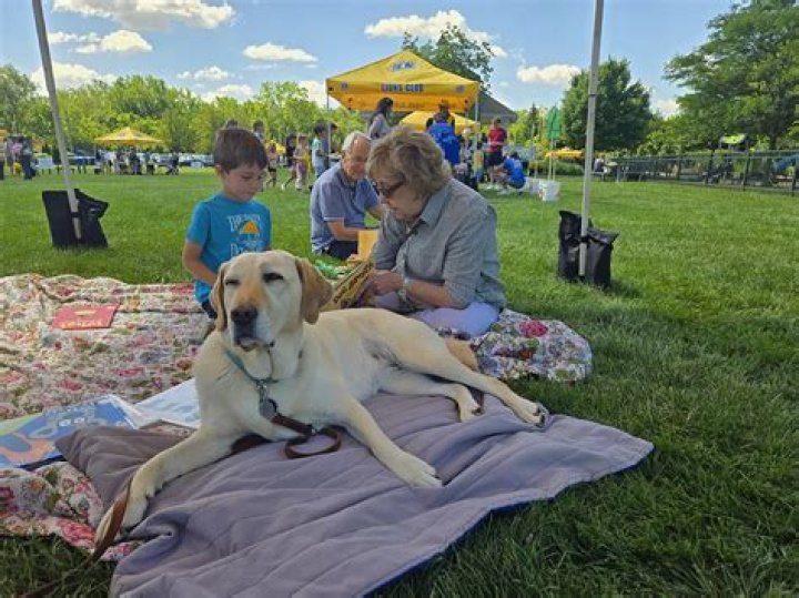 Yoga and Stories in the Park coming in June